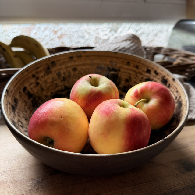 Saladier « Organic»